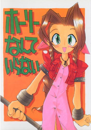 ホーリーなんていらないの表紙画像
