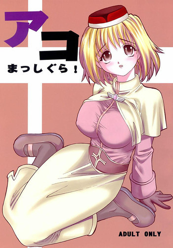 アコまっしぐら!の表紙画像