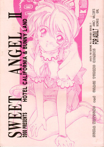 Sweet Angel IIの表紙画像