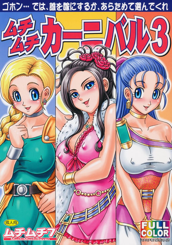 ムチムチカーニバル3の表紙画像