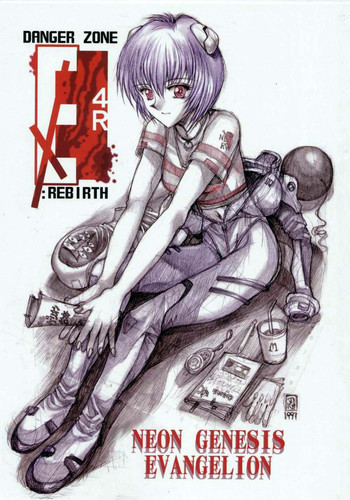 DANGER ZONE EX 4R : REBIRTHの表紙画像