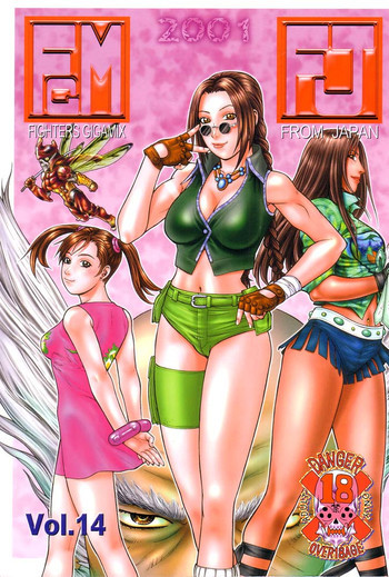 FIGHTERS GIGAMIX FGM Vol.14の表紙画像