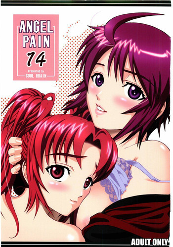Angel Pain 14の表紙画像