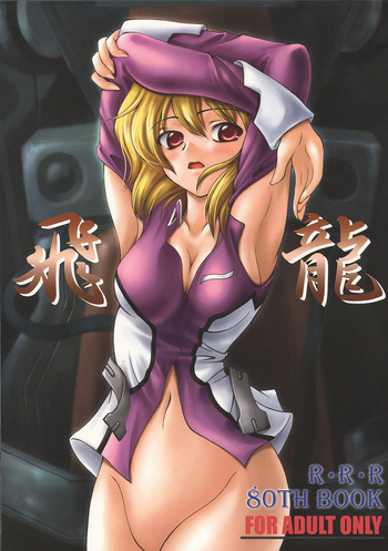 飛龍の表紙画像