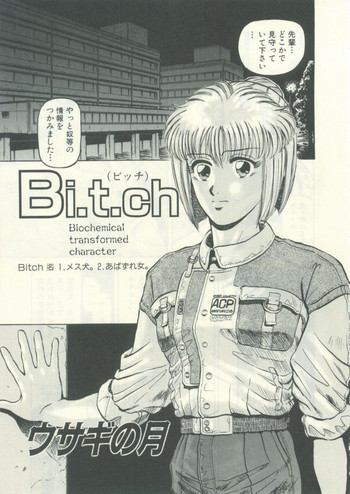 Usagi no Tsuki - Bi.t.chの表紙画像