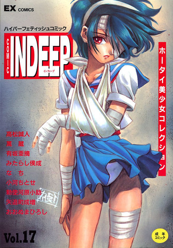 INDEEP Vol.17の表紙画像