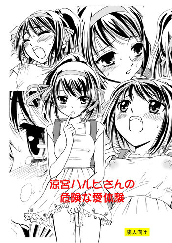 涼宮ハルヒさんの危険な愛体験の表紙画像