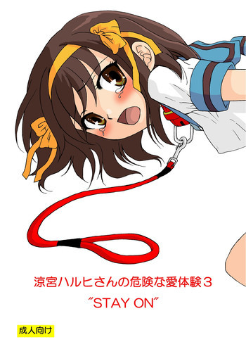 涼宮ハルヒさんの危険な愛体験3の表紙画像