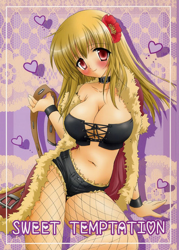 SWEET TEMPTATIONの表紙画像