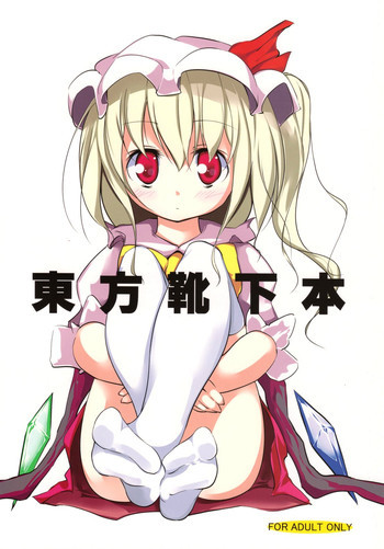 東方靴下本の表紙画像