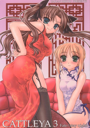 CATTLEYA 3の表紙画像
