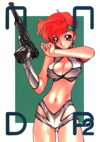 NNDP 2の表紙画像