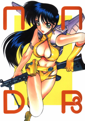 NNDP3の表紙画像