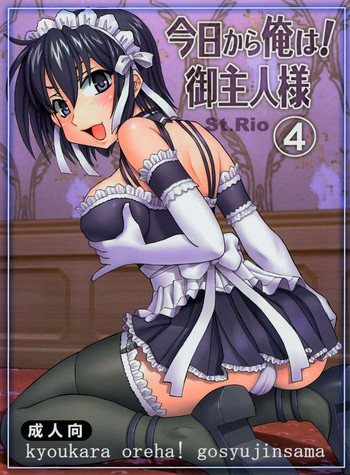 今日から俺は！御主人様4の表紙画像