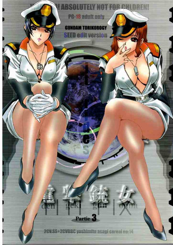 Torikorogy 3 [Gundam Seed]の表紙画像