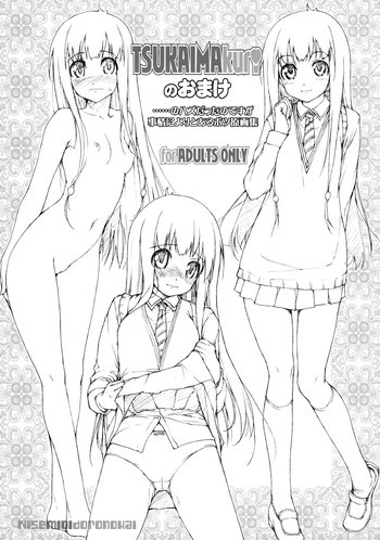 TSUKAIMAkuriのおまけの表紙画像