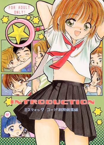 INTRODUCTIONの表紙画像