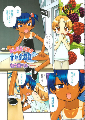 Fushidara Dokyusei Aoi Hokagoの表紙画像
