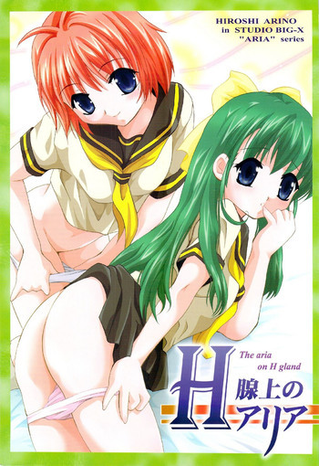 H腺上のアリアの表紙画像