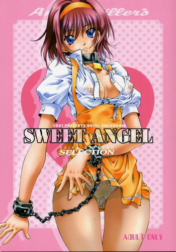 SWEET ANGEL SELECTIONの表紙画像