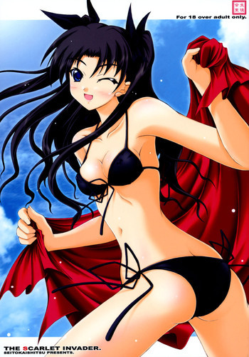 THE SCARLET INVADER.の表紙画像