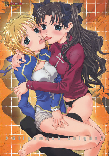 Gilgamesh Knight [Fate/Stay Night]の表紙画像