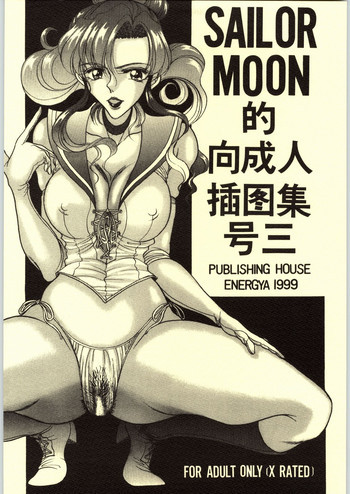 COLLECTION OF -SAILORMOON- ILLUSTRATIONS FOR ADULT Vol.3の表紙画像