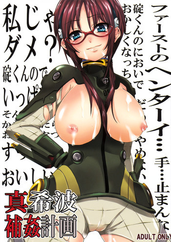 真希波補姦計画の表紙画像