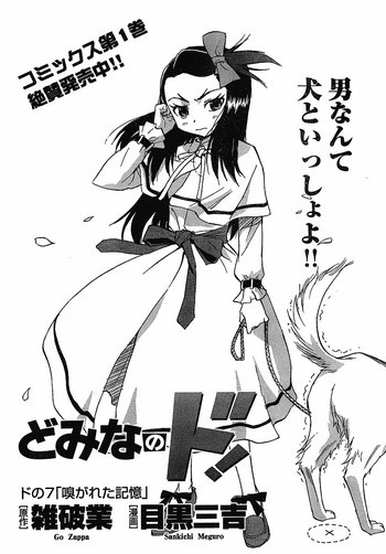 domina no do ch7 rawの表紙画像