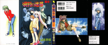 頃刻の迷夢の表紙画像