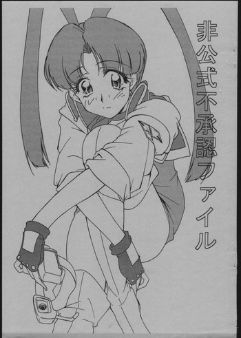 Hikoushiki Fushounin Fileの表紙画像