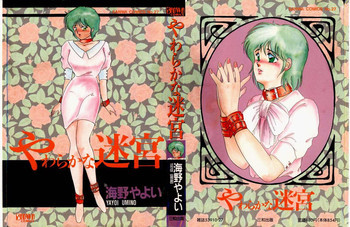 やわらかな迷宮の表紙画像