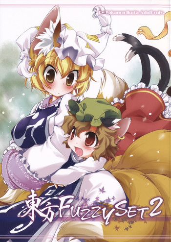 東方FUZZYSET 2の表紙画像
