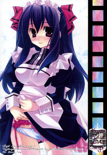 Night Maid Bird Cage.の表紙画像