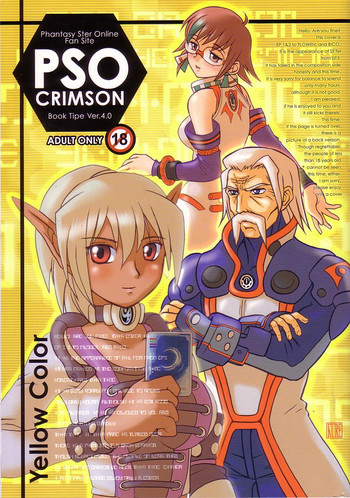 PSO CRIMSON ver.4.0の表紙画像