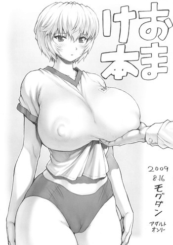 綾波2おまけ本の表紙画像