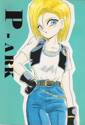 P-ARKの表紙画像