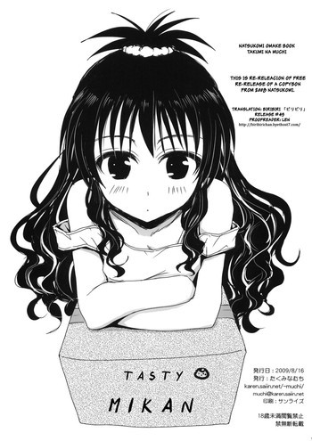 なつこみおまけ本の表紙画像