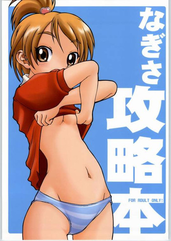 なぎさ攻略本の表紙画像