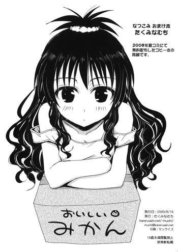 なつこみおまけ本の表紙画像