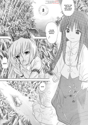 蓬莱妊娠の表紙画像