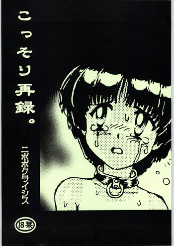 こっそり再録。の表紙画像