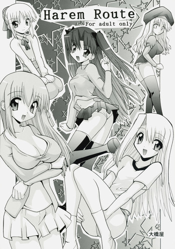 Harem Routeの表紙画像
