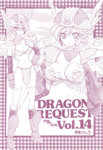 DRAGON REQUEST Vol.14の表紙画像