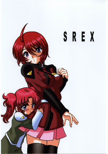 SREXの表紙画像
