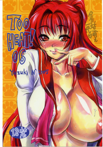 TOO HEAT!06の表紙画像
