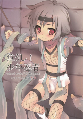 危うし!少年忍者の表紙画像