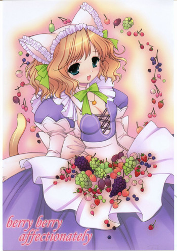 berry berry affectionatelyの表紙画像