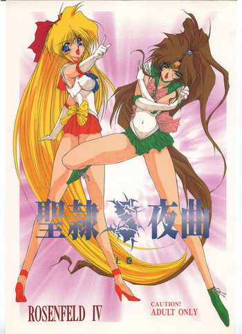 聖隷夜曲　上巻 Rosenfeld IVの表紙画像