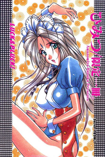 ひみつ／限定一冊。の表紙画像